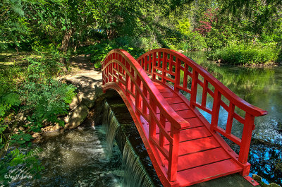 Japanese Garden 