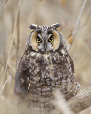 g10/06/859006/3/165357897.OuAPuOOn.jpg