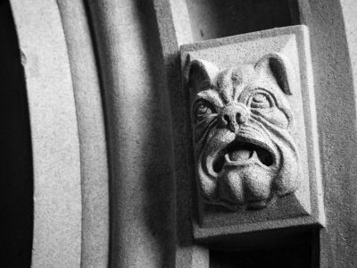 The Yale Bulldog