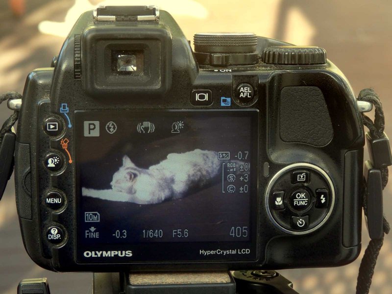 2008 Super Zoom 2