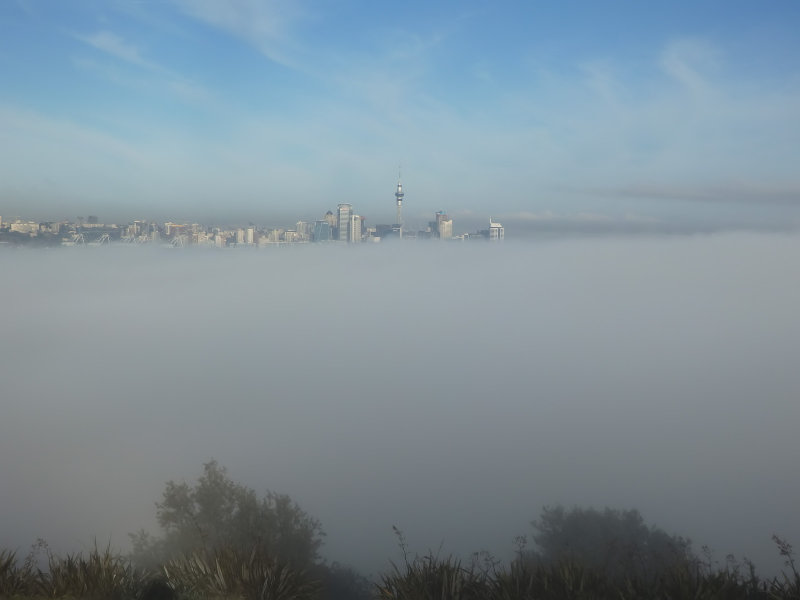 Fog 1