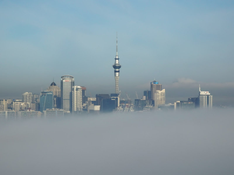 Fog 2