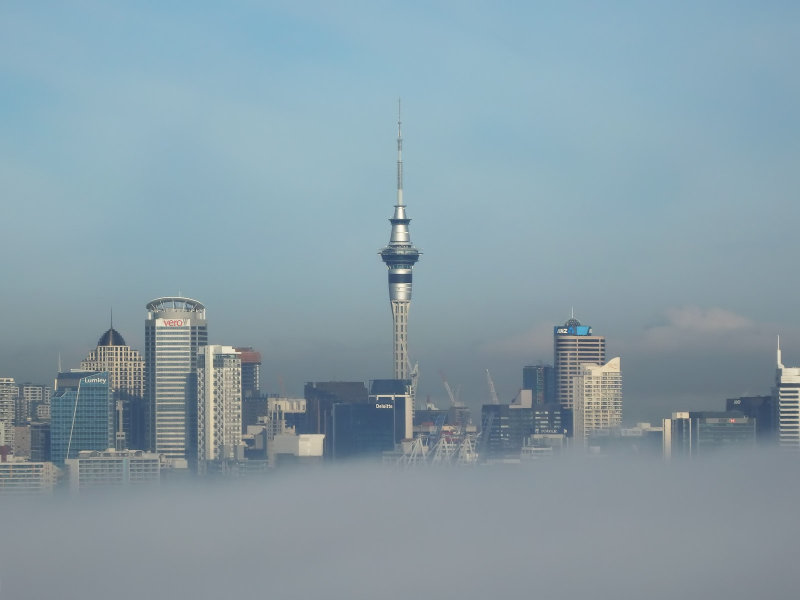 Fog 3