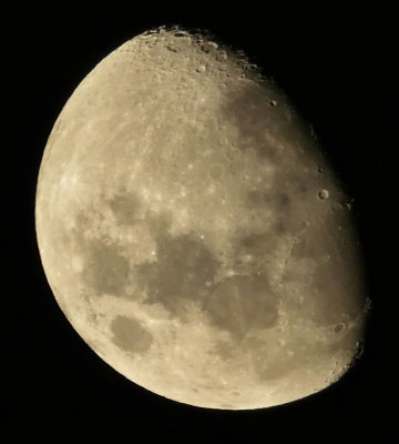 Graham's TZ80 with Digital Zoom