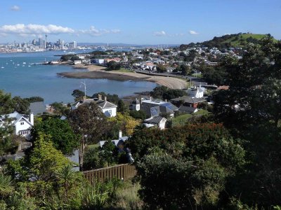 Torpedo Bay and Auckland City
