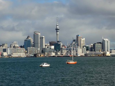 Auckland and Harbour 8