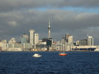 Auckland and Harbour 7