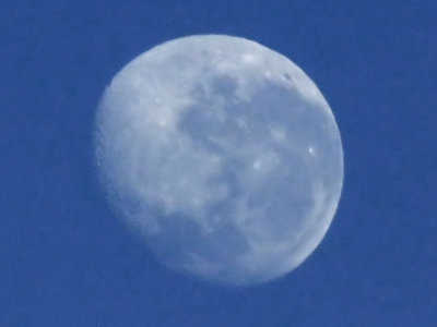 Moon
