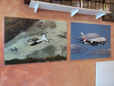 My Current Exhibits
