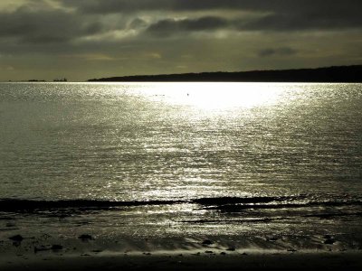 Narrow Neck Beach 1