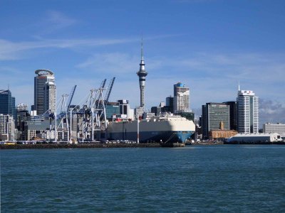 Auckland and Harbour 11