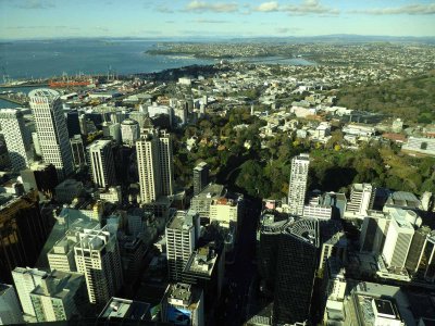 Auckland Looking East