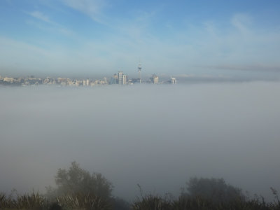 Fog 1