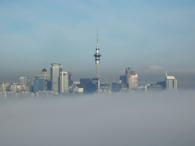 Fog 2