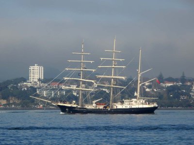 TENACIOUS
