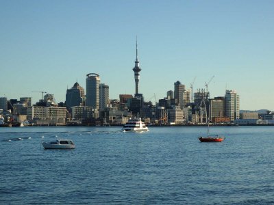 Auckland and Harbour 7