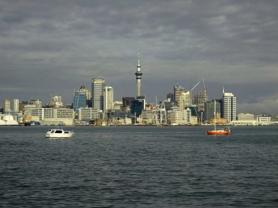 Auckland and Harbour 8
