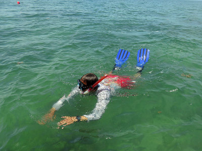 He sees a big barracuda