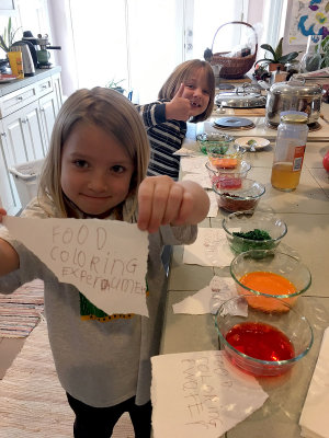 Like the sign says, it's a food coloring experiment