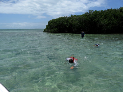 Snorkeling the shallows