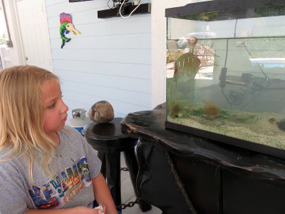 Annie says goodbye to the aquarium critters