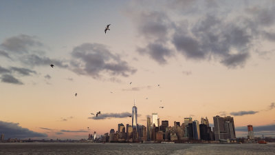 city birds on ferry 2.jpg