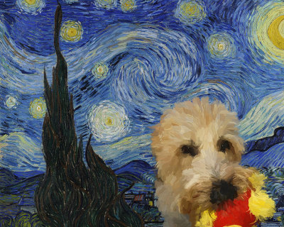 Watson Van_Gogh_-_Starry_Night.jpg