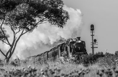 Triple Header to Ballarat and Geelong