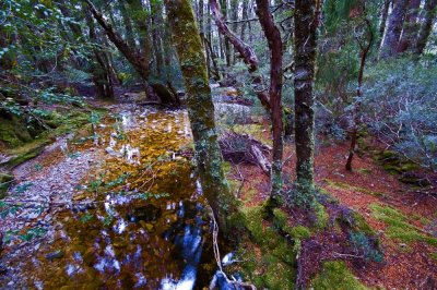 Tasmania