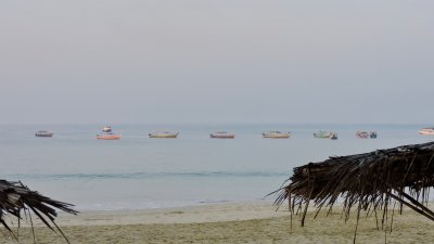 DSCN6135.jpg
