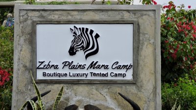 Notre camping de luxe  Zebra Plain