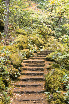 Toketee Falls