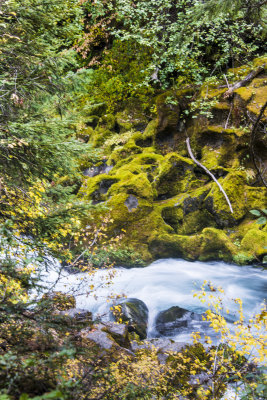 Toketee Falls