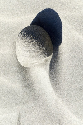 Sand things at the dunes