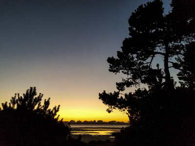 Lincoln City