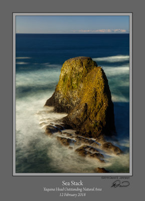 Sea Stack Yaquina Head Color.jpg