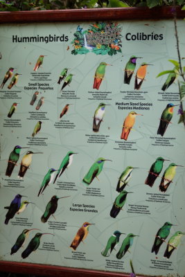 Lapaz Waterfall Garden