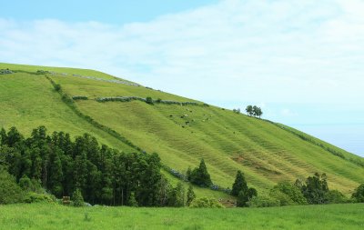 IMG_3042.JPG