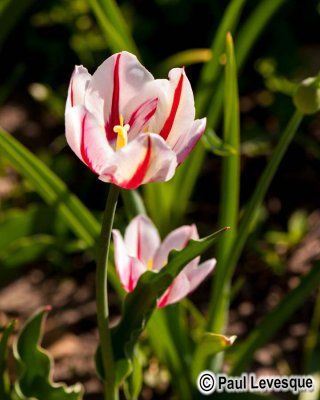 _15A0761 AE.jpg