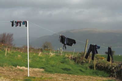 Tis great drying weather!