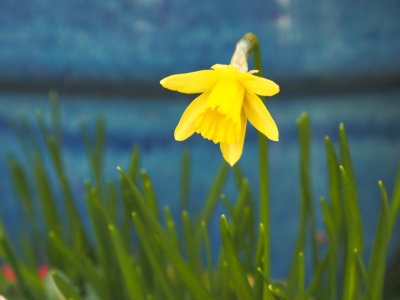 Spring?