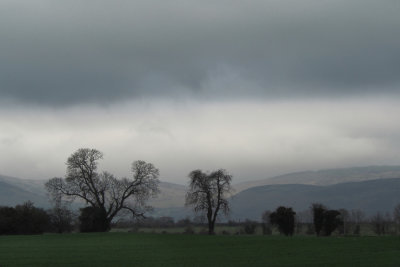 Forty Shades of Grey