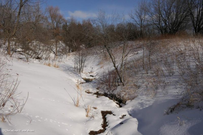 Ravine