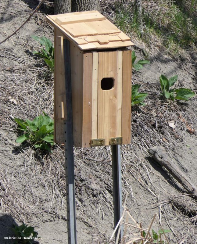 Wood duck nest box
