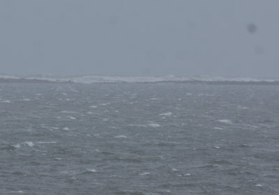 Sat. 3/3/18 - Waves covering road between 3 xover & Plum Hills - 1 hr before high tide