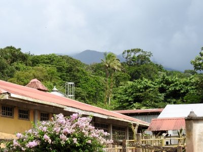 View at Curubanda Lodge