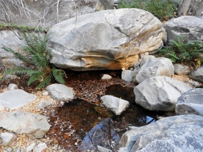 Water in Lost Creek Canyon