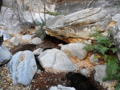 Water in Lost Creek Canyon