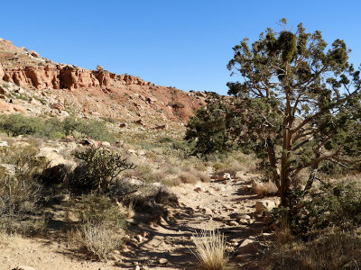 The Lost Creek Canyon Trail