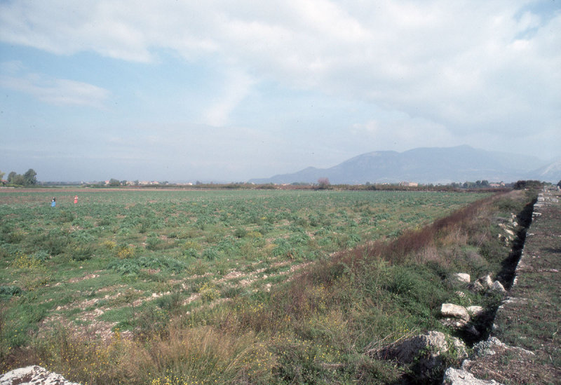 Paestum 017.jpg